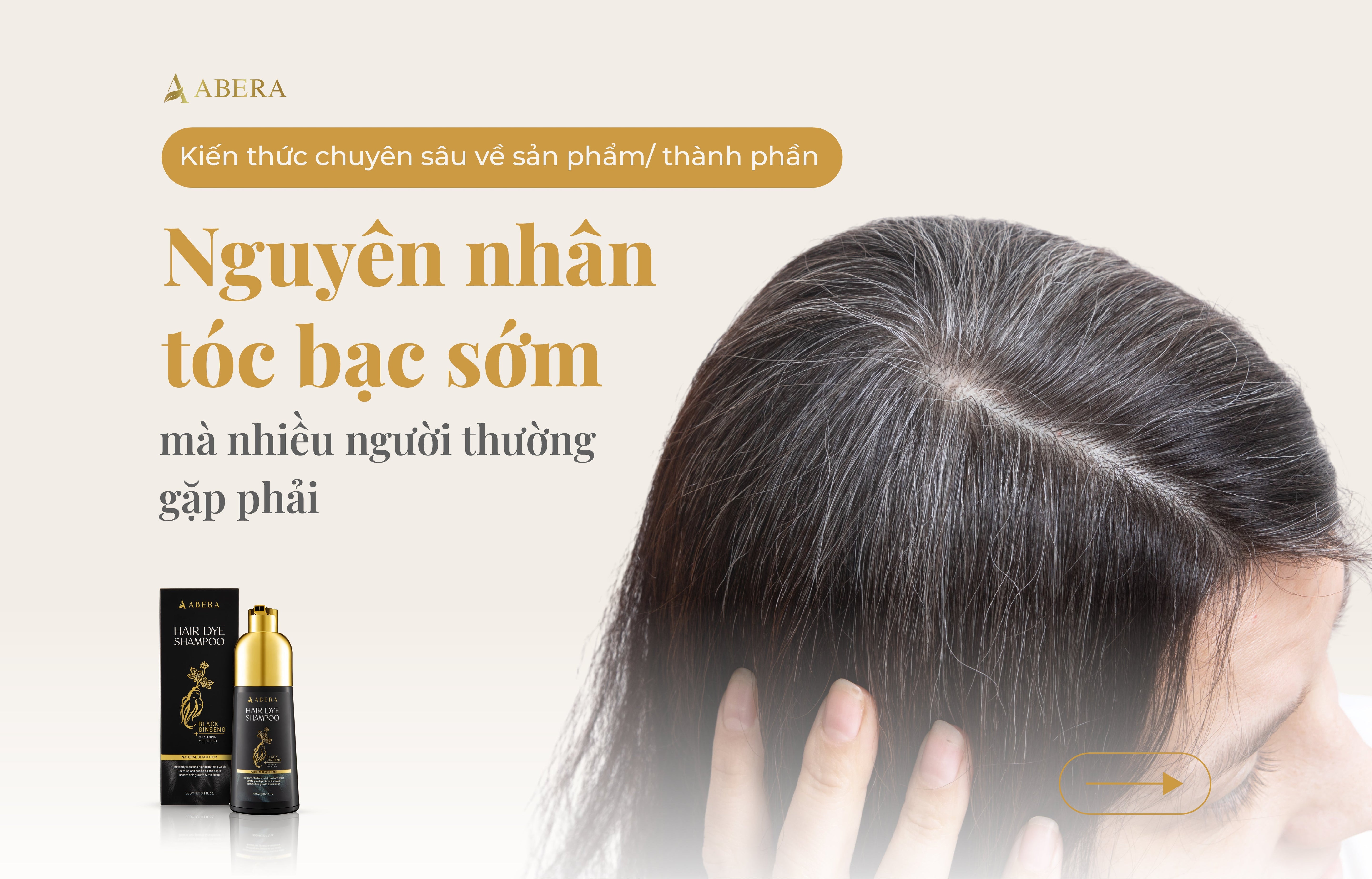 Nguyên nhân tóc bạc sớm mà nhiều người thường gặp phải