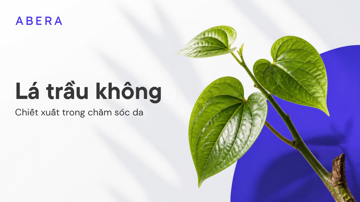 Chiết xuất Lá Trầu Không (Piper Betle Leaf Extract): Hỗ trợ kiểm soát mùi và chăm sóc da
